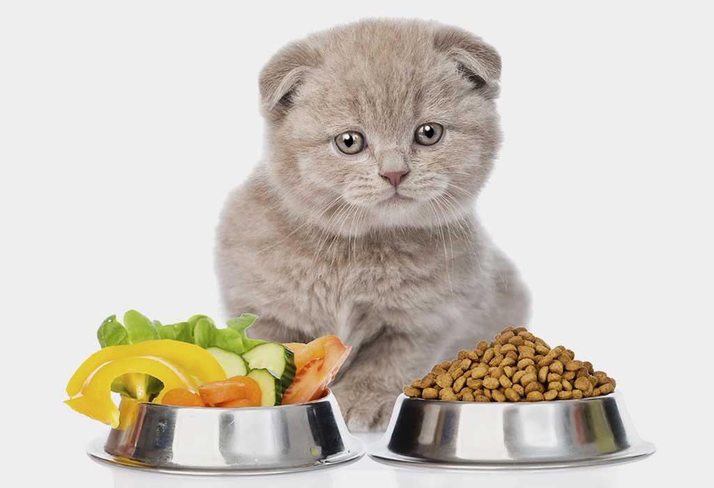 Best homemade food for hot sale cats