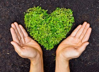 नए साल में पर्यावरण को हरा-भरा बनाने के 9 संकल्प नए साल में पर्यावरण को हरा-भरा बनाने के 9 संकल्प