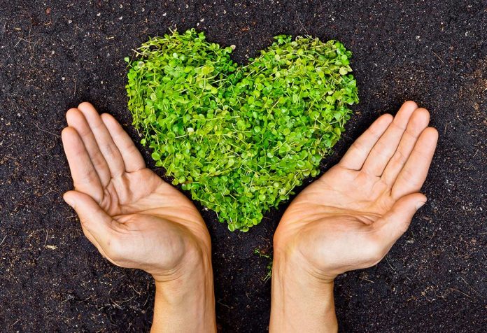Green Resolutions You Can Make This Year to Do Your Bit for Our Planet