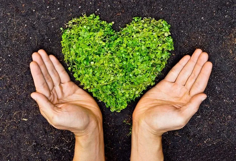 9 Green Resolutions You Can Make This Year to Do Your Bit for Our Planet