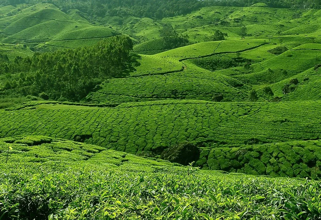 Munnar