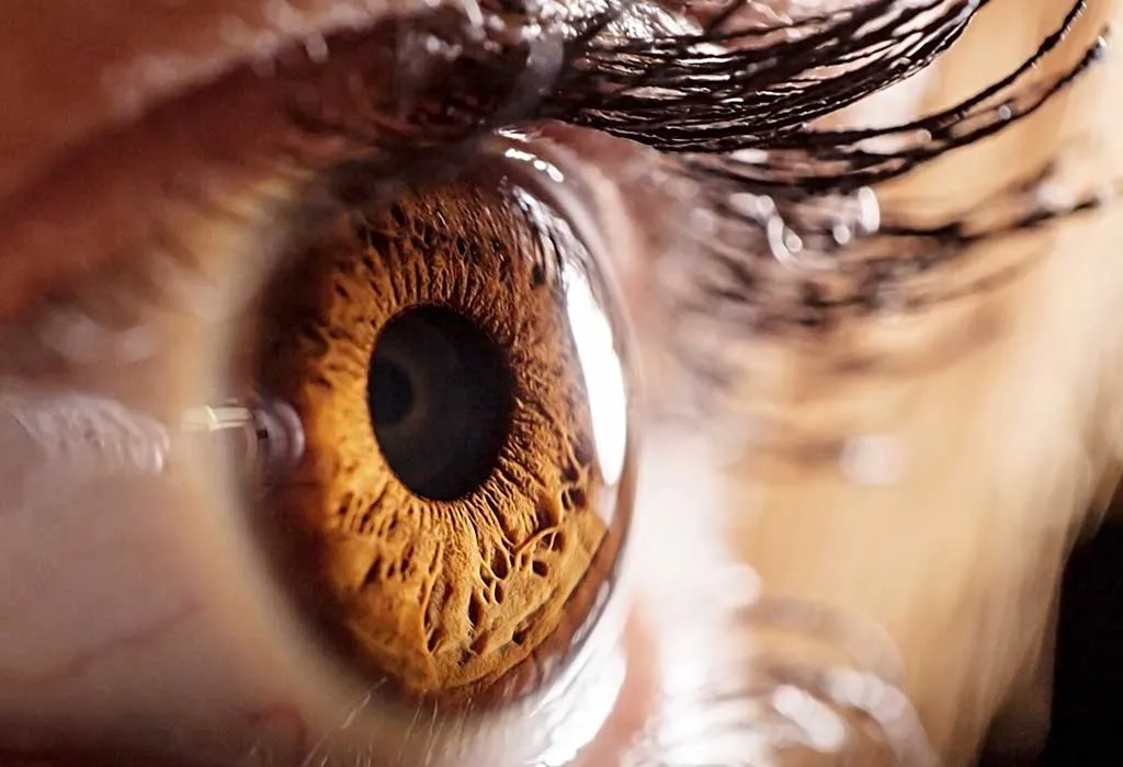Eye Health