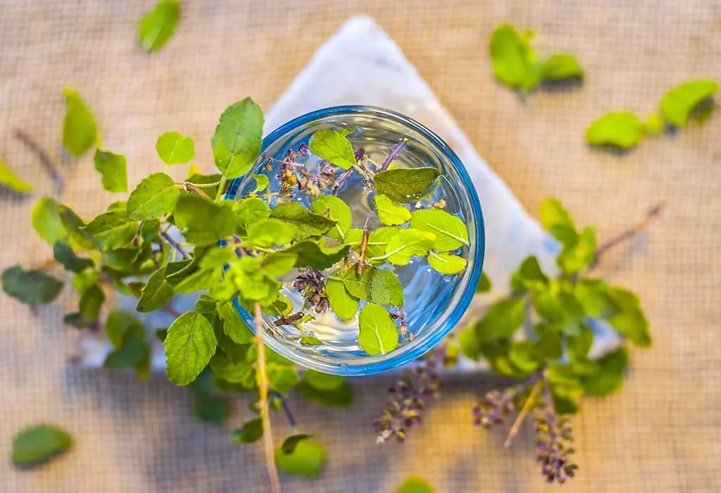 26 Amazing Benefits Uses of Tulsi Holy Basil Leaves