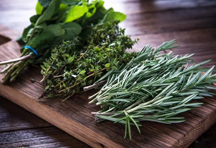 effective herbs for diabetes