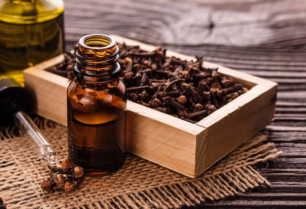 home remedies for rats and mice
