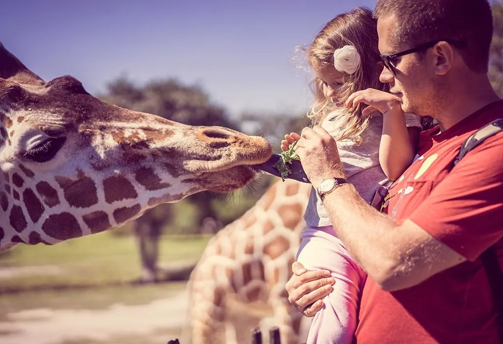 Family At the Zoo