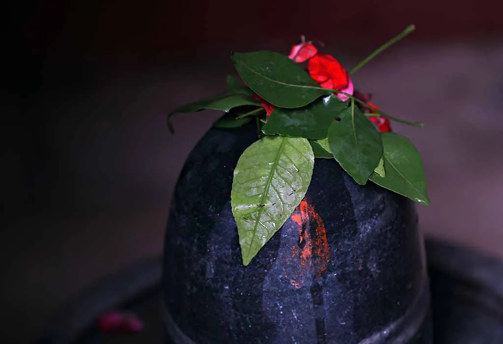 शिवलिंगाला पाणी, दही, दूध आणि मध यांनी स्नान घालतात