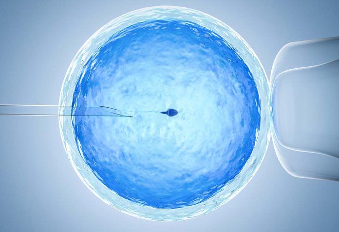 Can Assisted Hatching Improve the Chances of IVF Success?