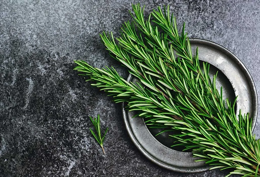 Rosemary at home