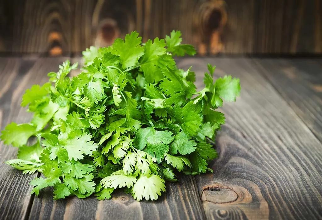 Coriander leaves