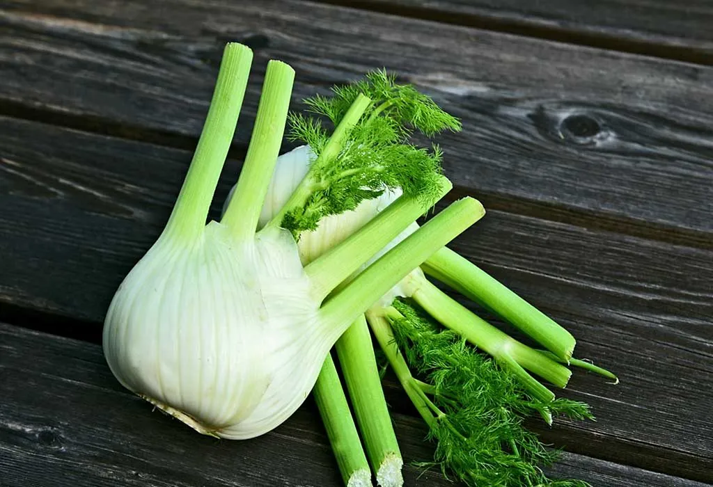 Growing fennel in India