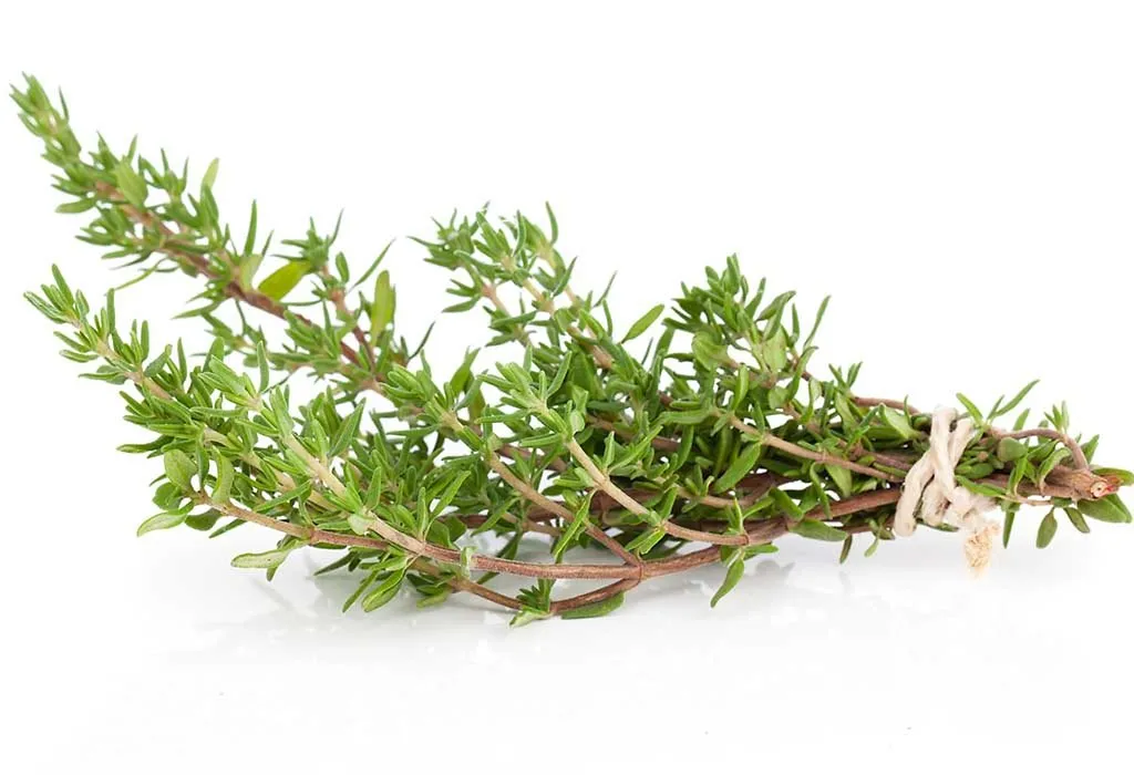 Thyme