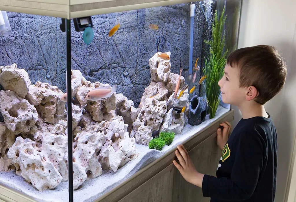 15 Amazing Home Aquariums and Fish Tanks