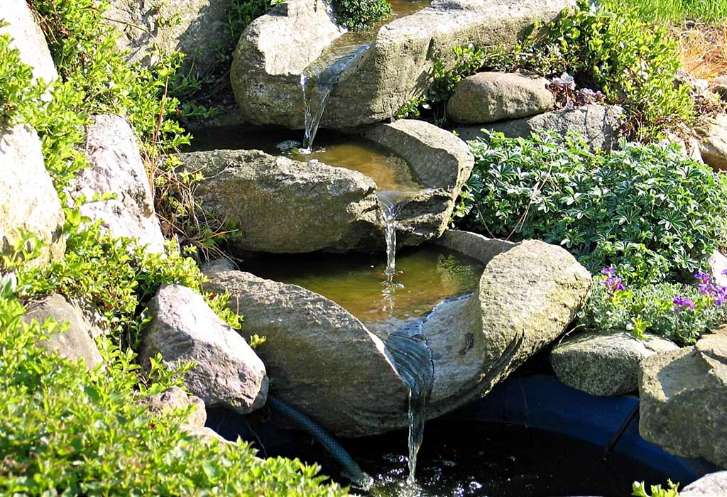 Water bodies in the house
