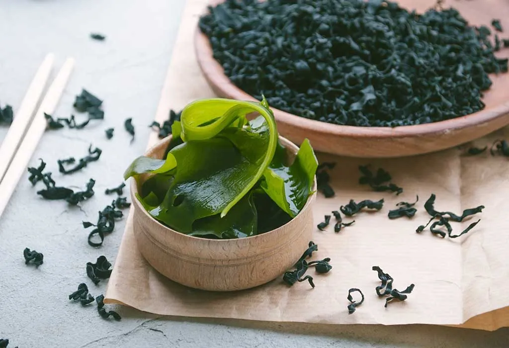 Seaweed