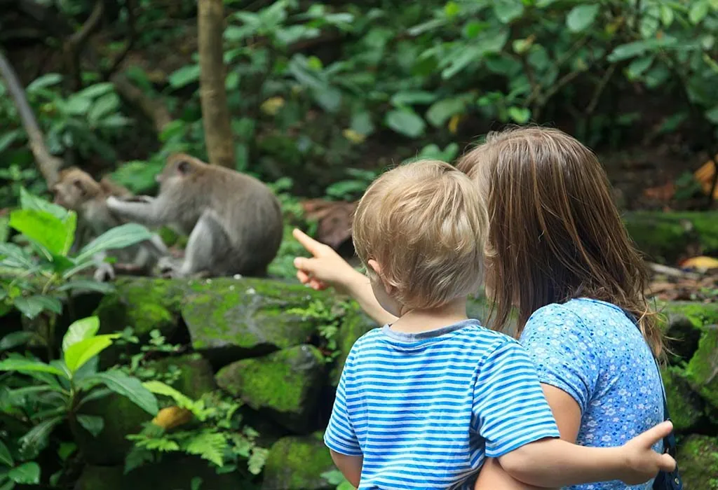Visit a Zoo