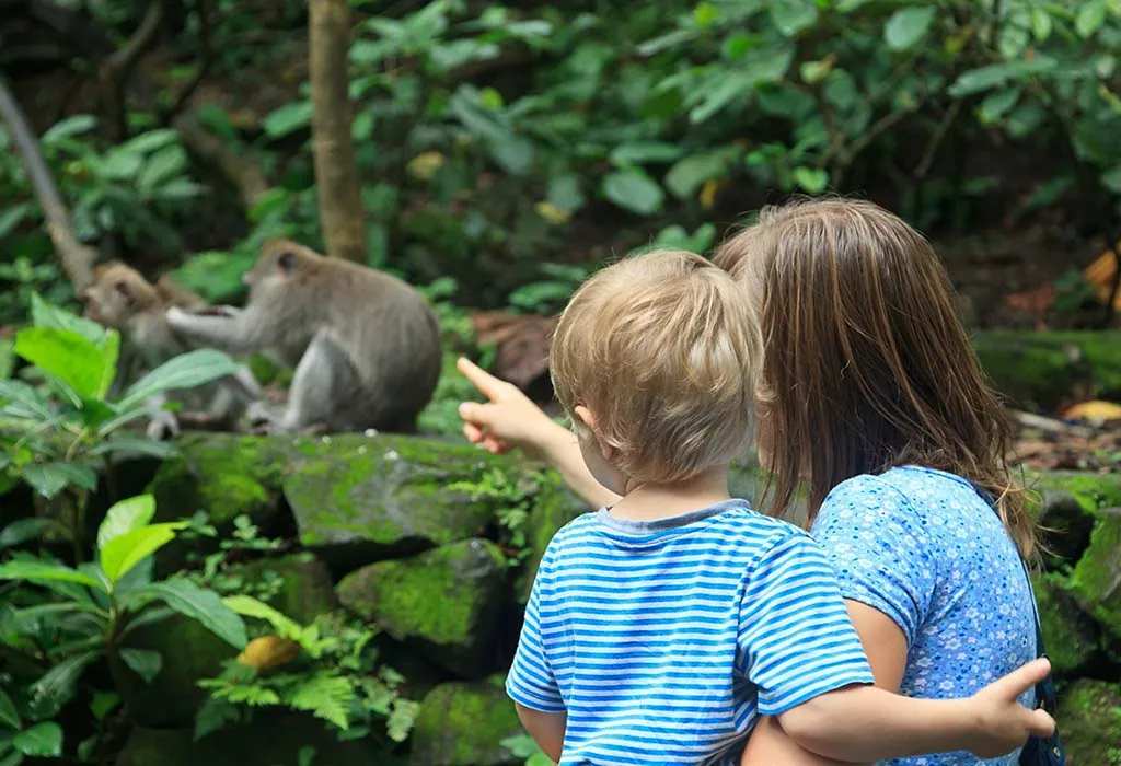 visite um zoológico 