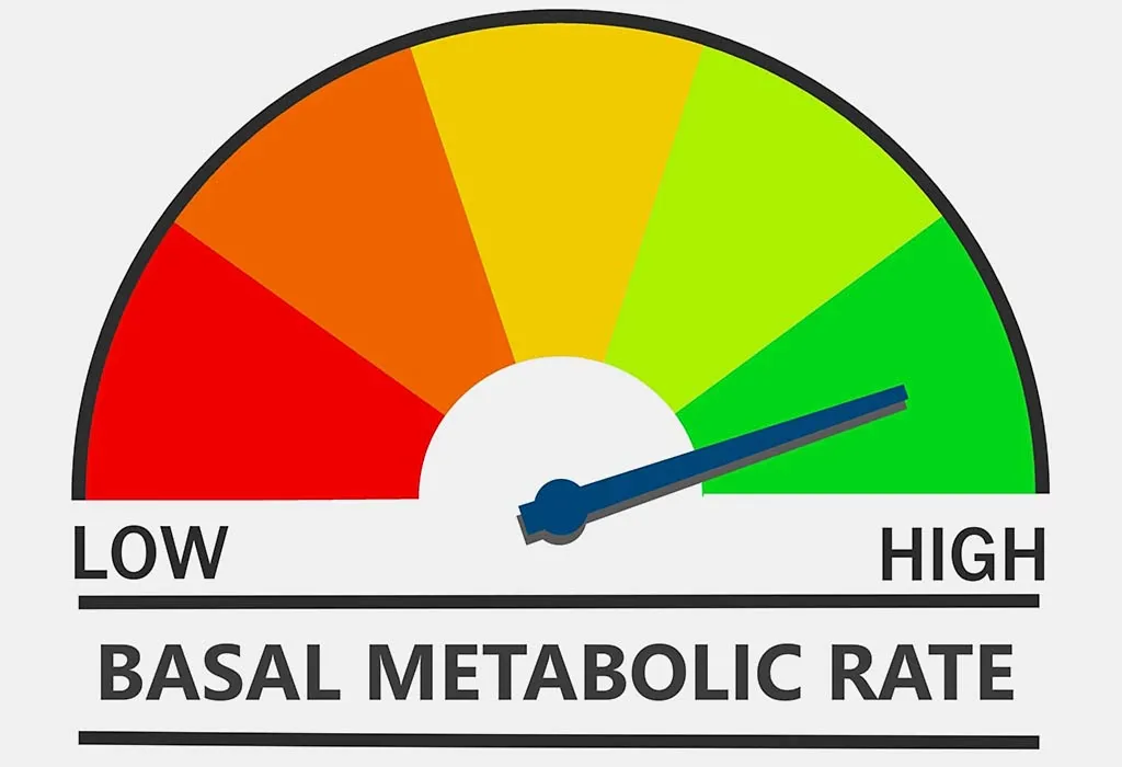 Improve Metabolism