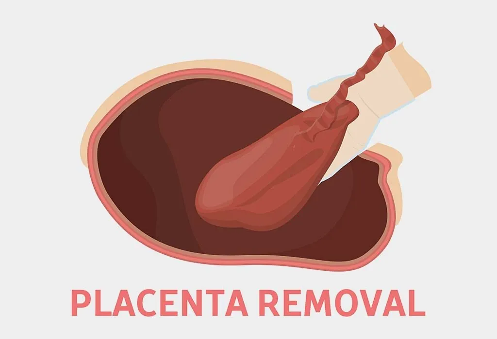benefits of eating human placenta
