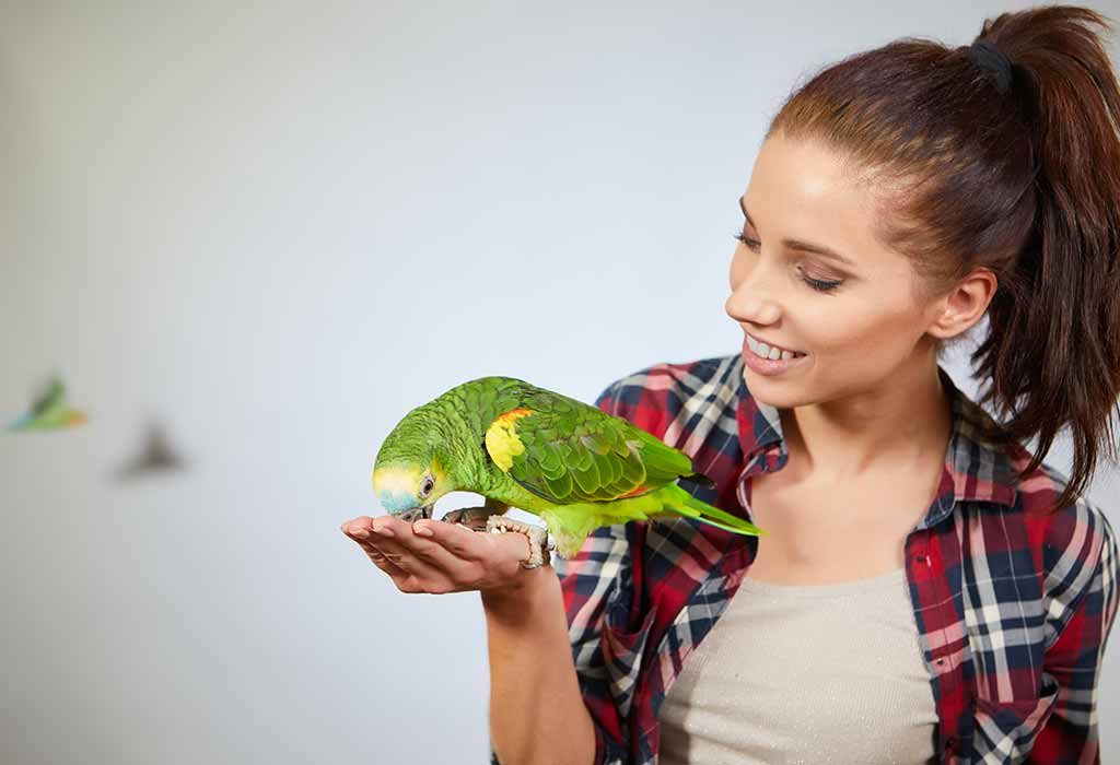 5 Bird Species That Make the Smartest Pets