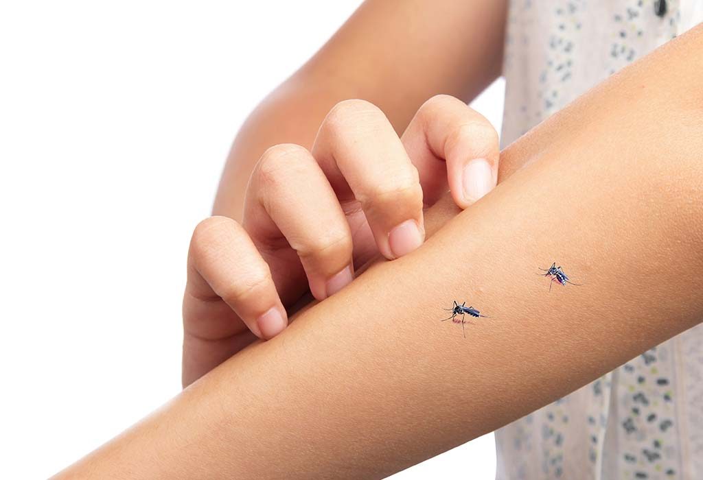 10 Home Remedies to Get Rid of Mosquitoes Naturally