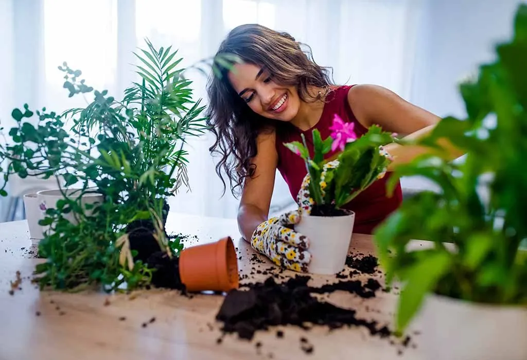 Young woman re-potting a plant