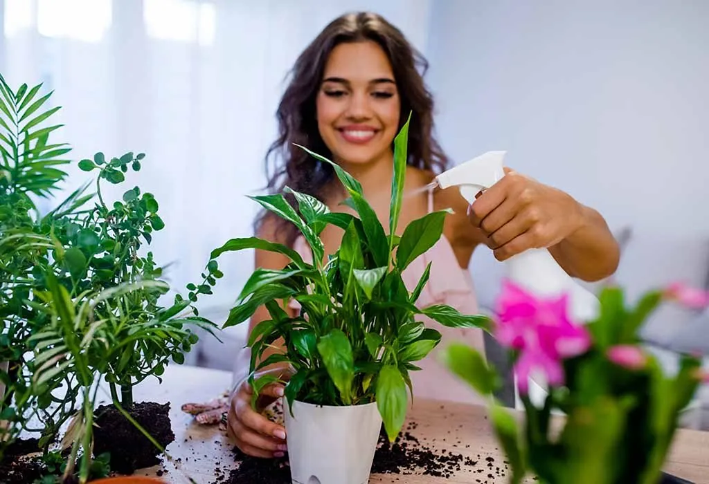 8 Things You Can Do to Stop Your Plants from Dying