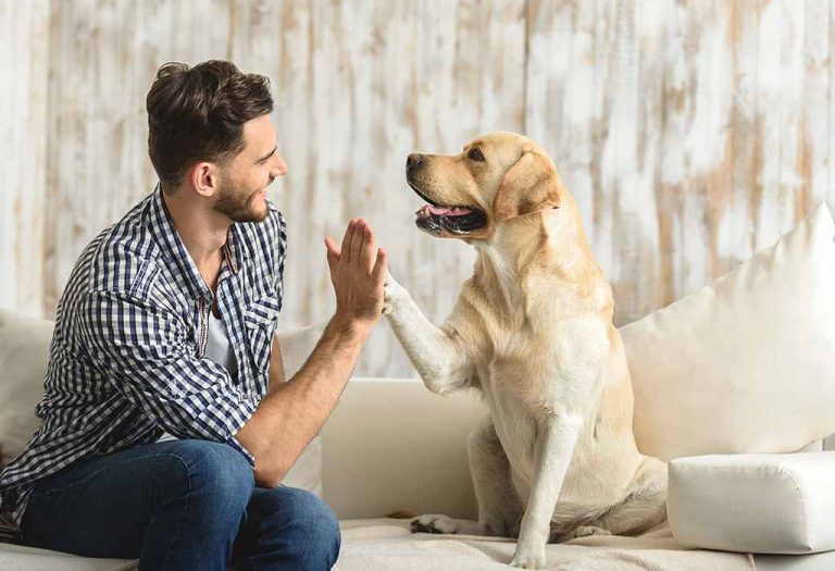 9 Ways Adopting a Dog Will Enrich Your Life