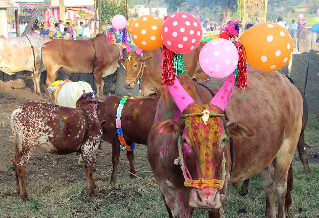 Mattu Pongal