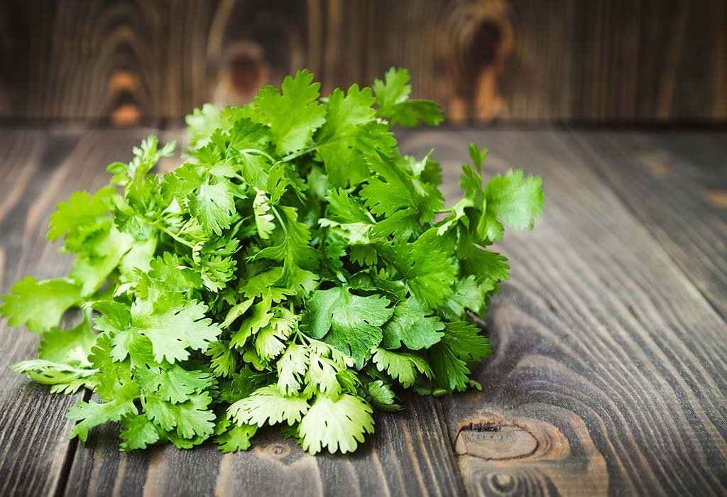 coriander