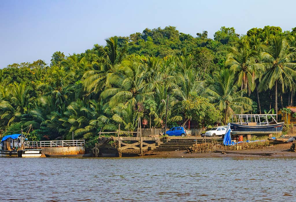 Chorao Island