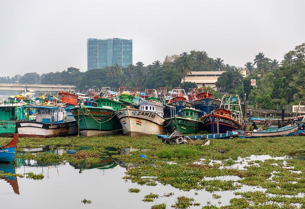 Cochin Island