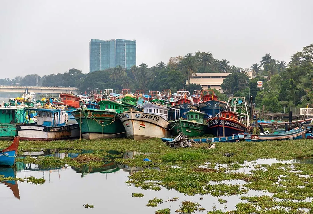 Cochin Island