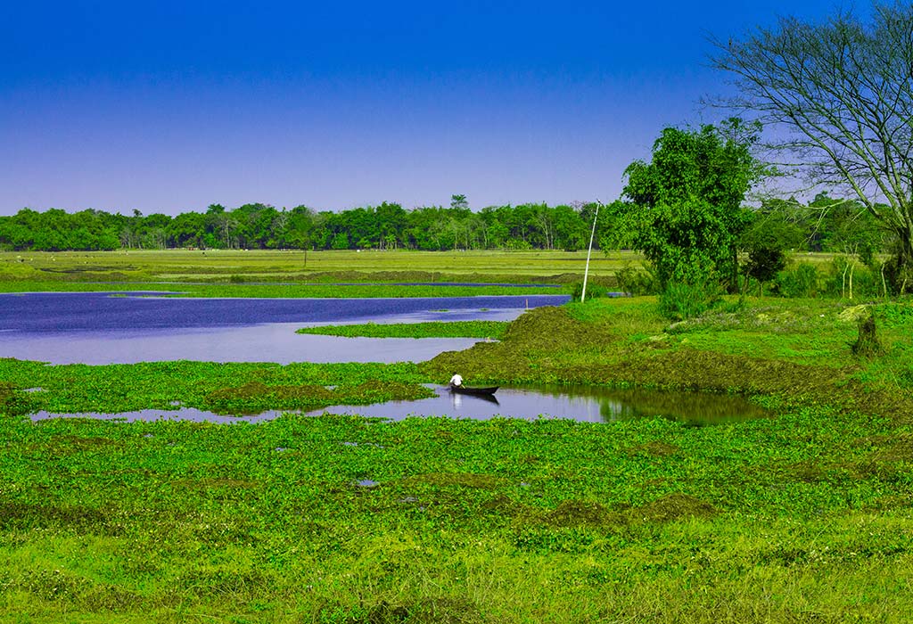 Majuli Island