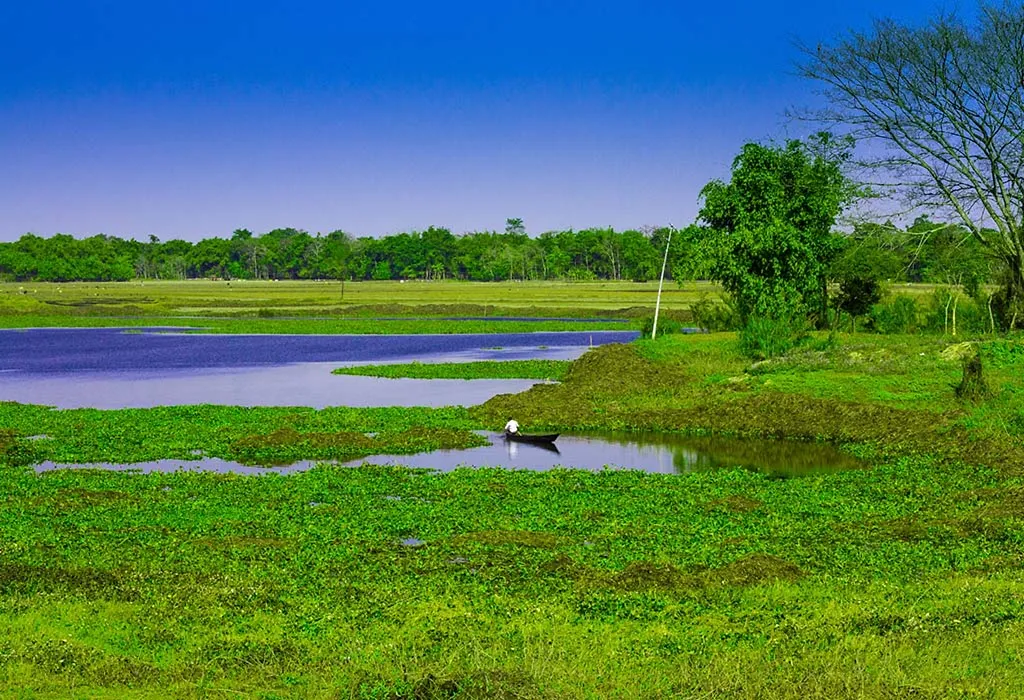 Majuli Island