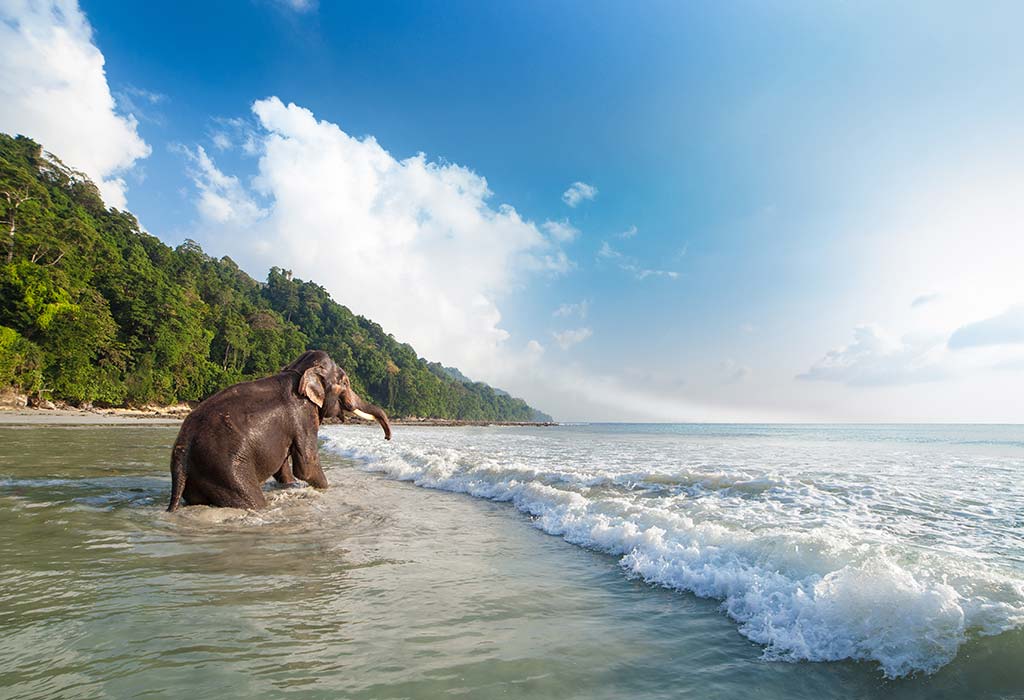 Havelock Island