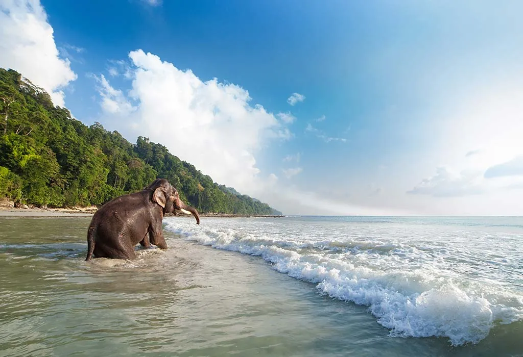 Havelock Island