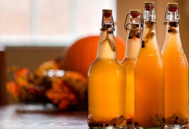 Drinking Kombucha While Pregnant: Is It Safe?