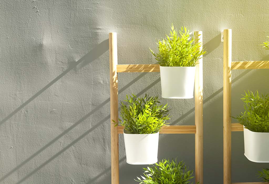 Plants and Ladders