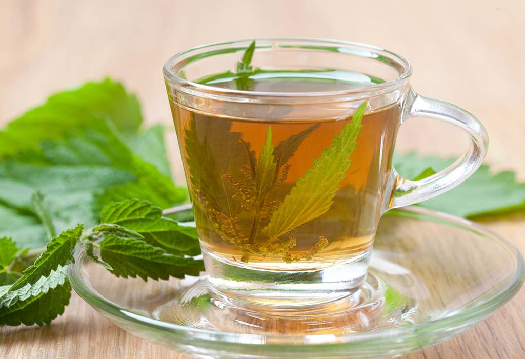 nettle leaf tea