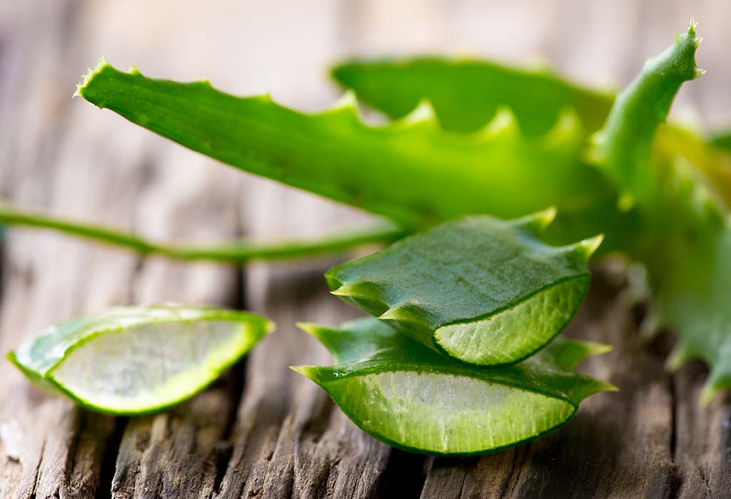 aloe vera