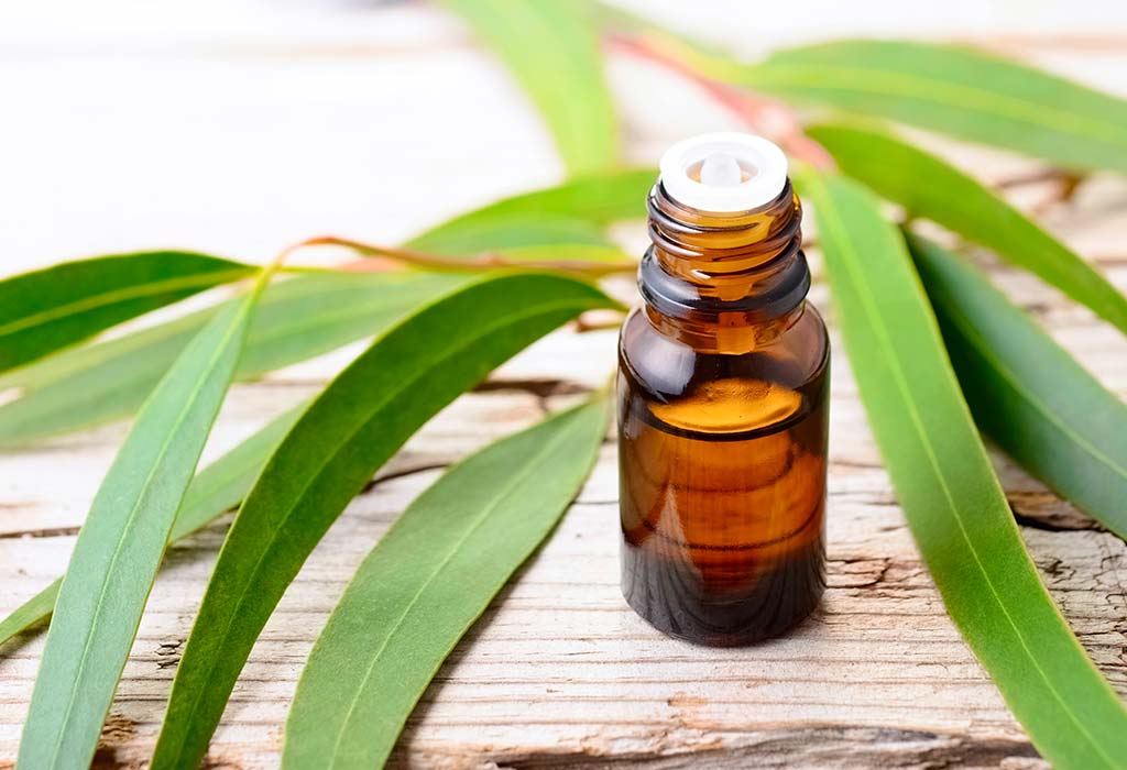 eucalyptus essential oil