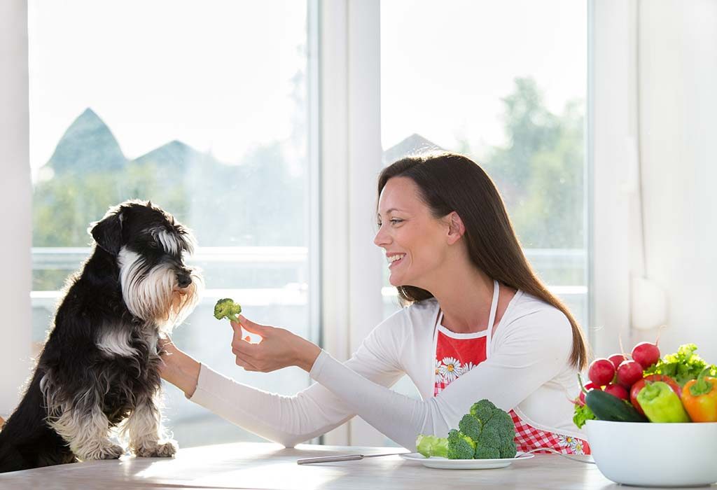 10 Healthy Vegetables and Fruits for Dogs