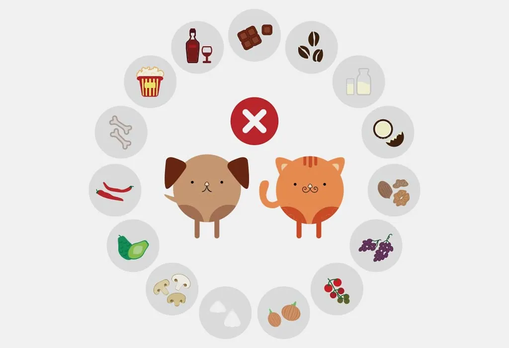 foods not to feed dogs