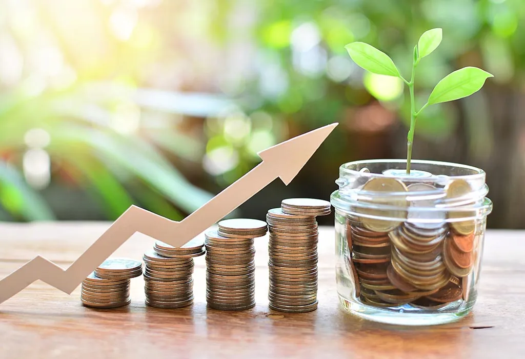 choose no-load mutual funds
