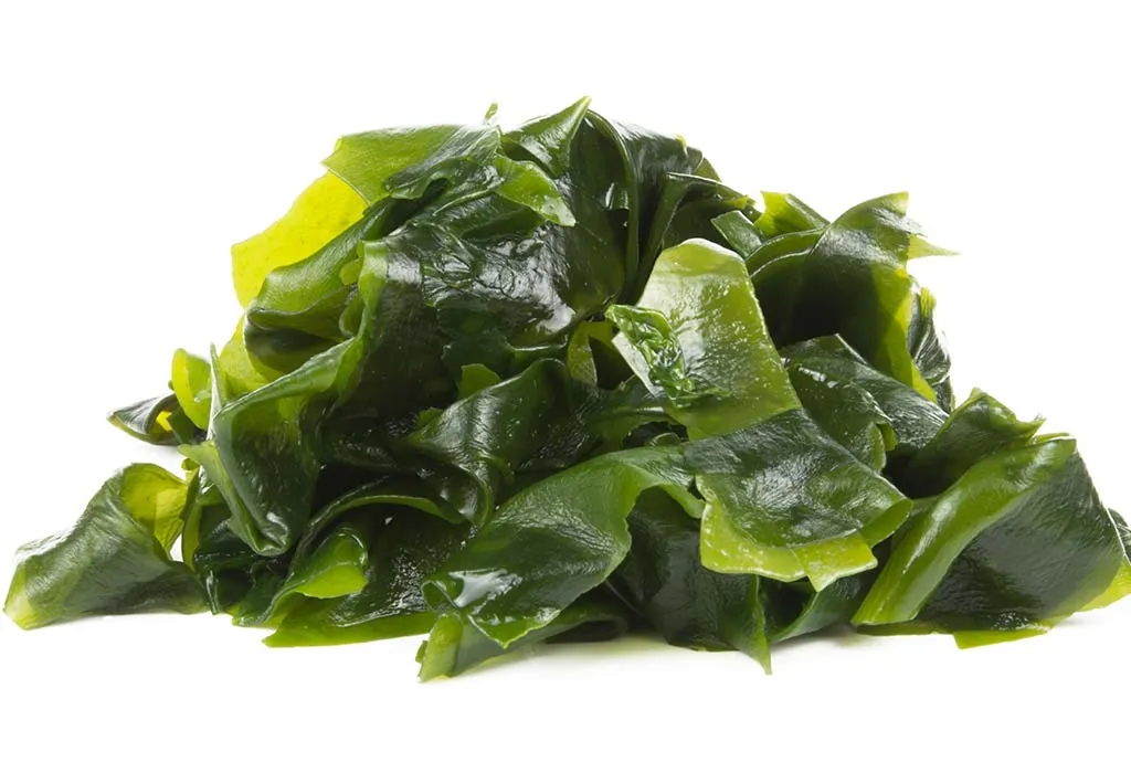 Seaweed