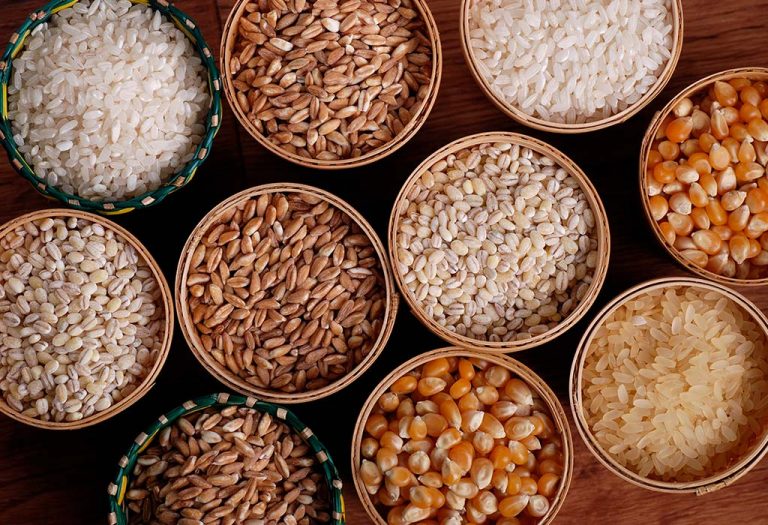 Best Foods for Love Birds Know What to Feed Your Feathery Pets?