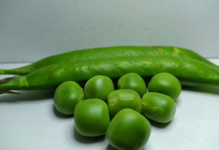 Best Foods for Love Birds Know What to Feed Your Feathery Pets?