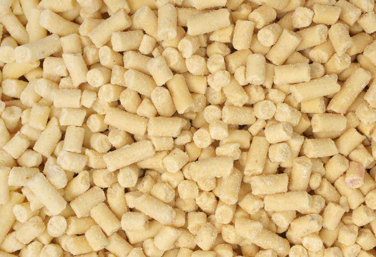 Best Foods for Love Birds Know What to Feed Your Feathery Pets?