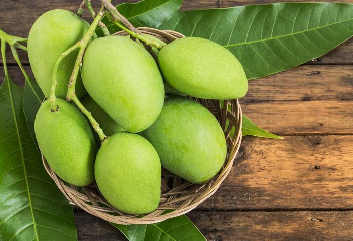 Raw Mango Benefits - 12 Reasons to Add Green Mango (Kairi) to Your Diet In Summer